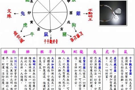 怎麼知道自己的五行|【如何知道自己 五行】如何精準判斷你的五行命理，。